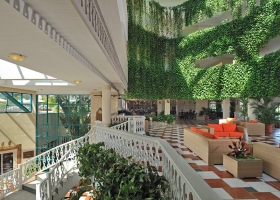 Hotel Meliá Las Antillas