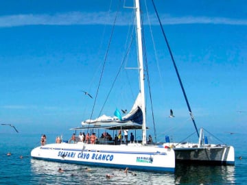 Excursiones in La Habana - Crucero del Sol desde La Habana