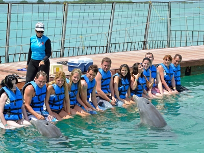 Swimming with dolphins Attractions